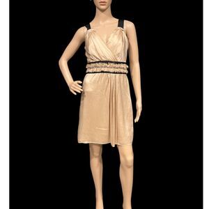 MILLY of New York Champagne 100% Silk Pleated Cocktail Mini Dress Sz 4 NICE!